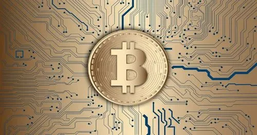 Как потратить $75 и добыть 3,125 BTC: история успеха соло-майнера
