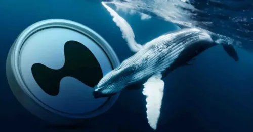 Рекордные лонги на Hyperliquid: почему DeFi игнорирует скепсис Binance